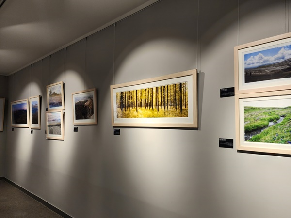 ������ȭ��ȭ�� ��δ밣 ������ ����